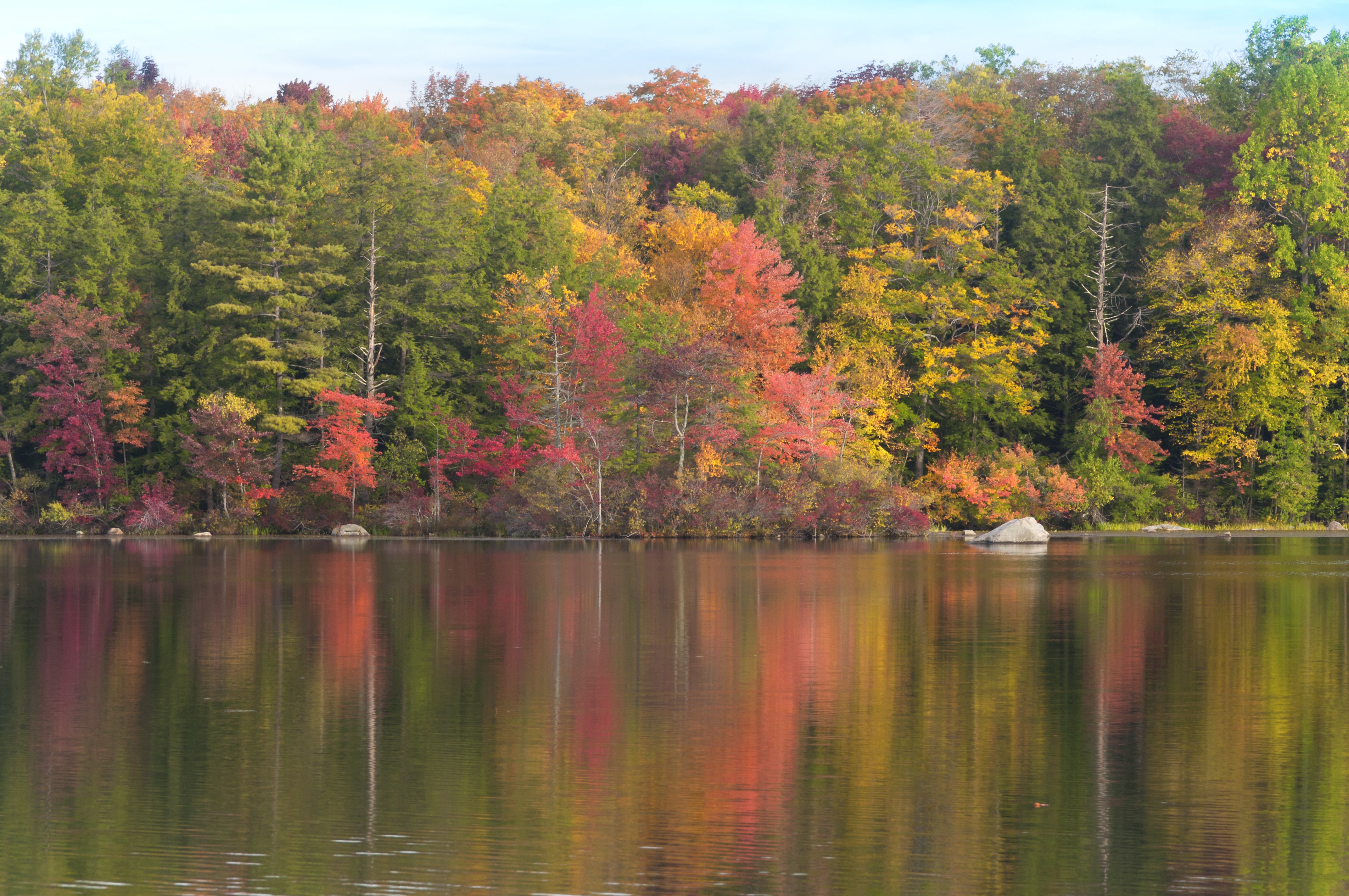 Burr Pond State Park Wall Art