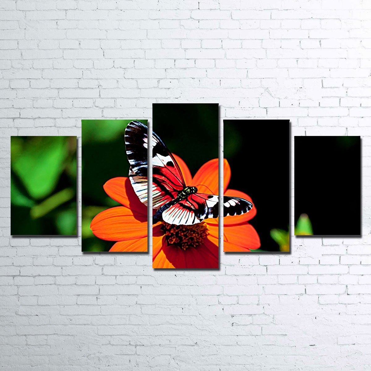 Vibrant Butterfly Wall Art