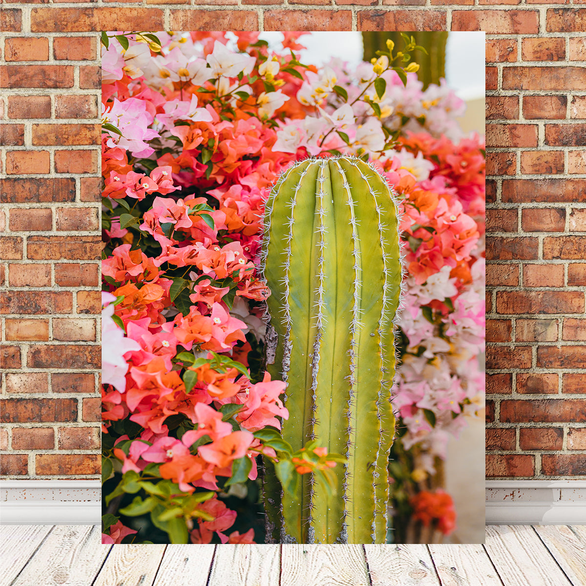 Cactus & Flowers Wall Art