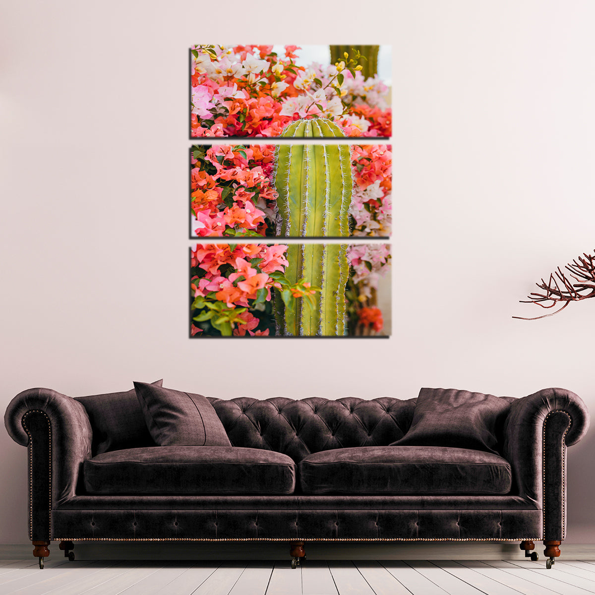 Cactus & Flowers