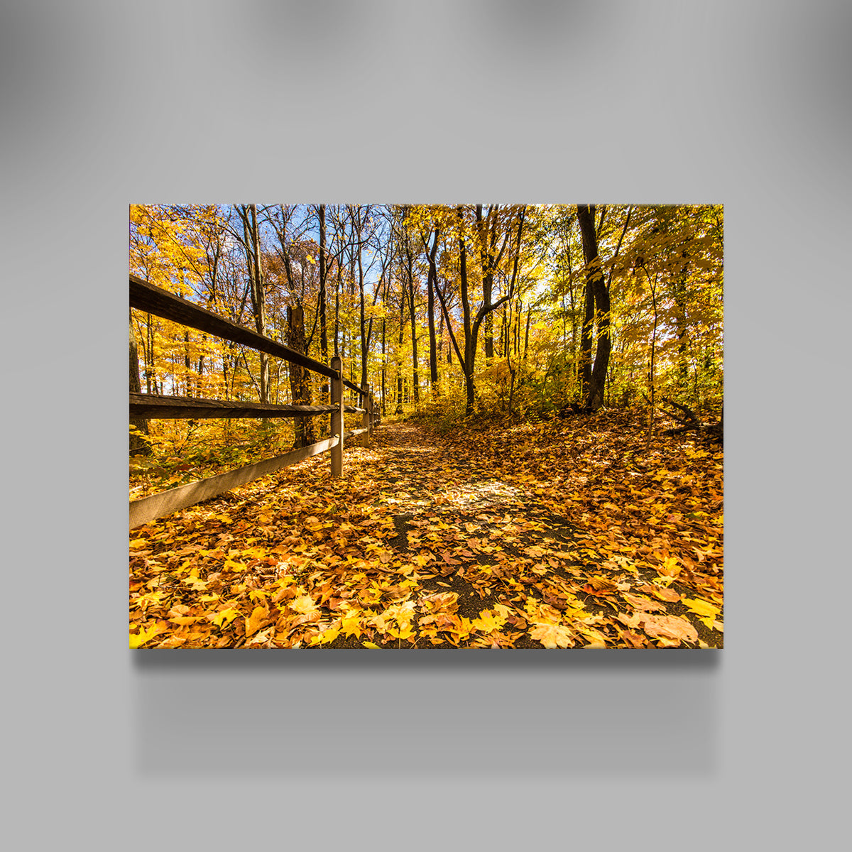 Caesar Creek State Park Fall Foliage Wall Art