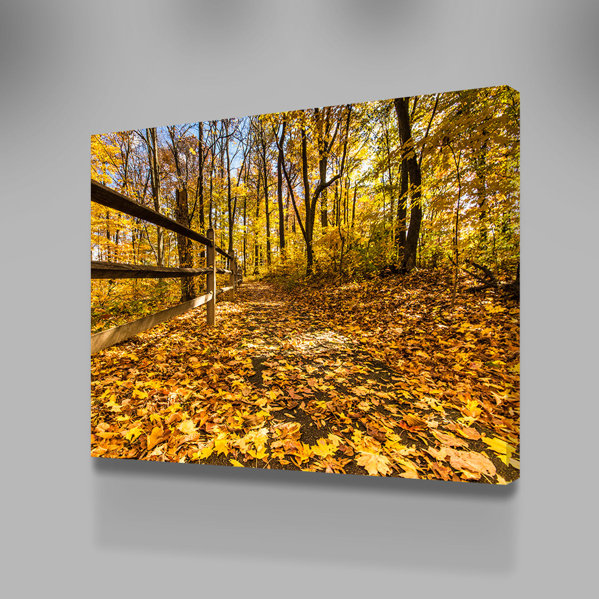 Caesar Creek State Park Fall Foliage Wall Art