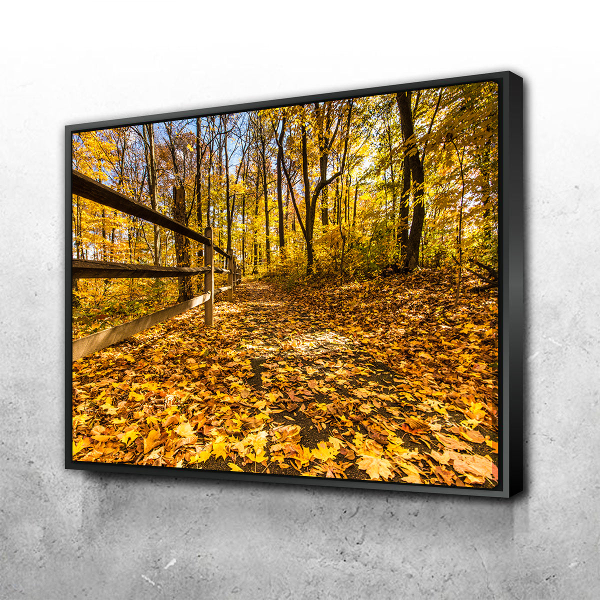 Caesar Creek State Park Fall Foliage Wall Art