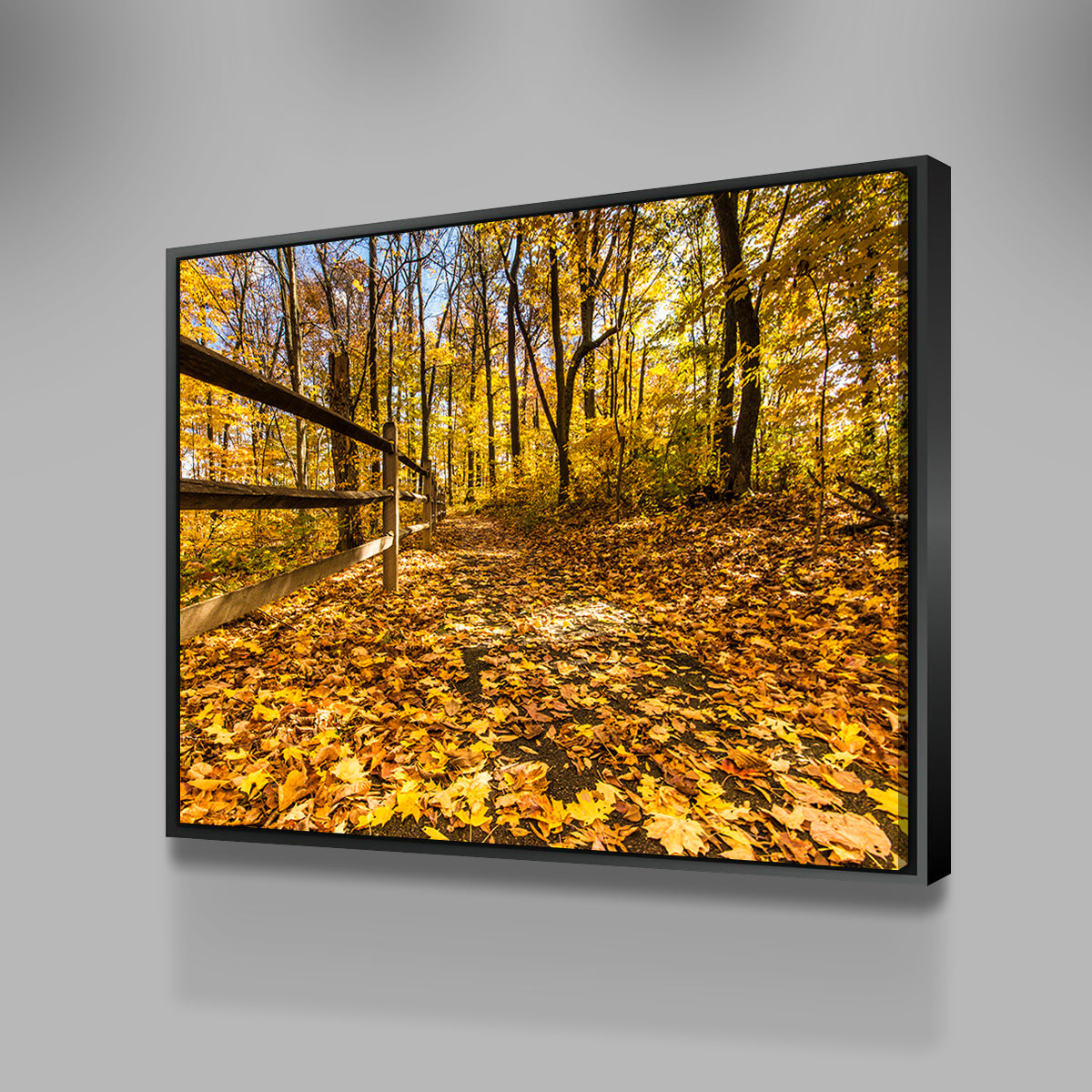 Caesar Creek State Park Fall Foliage Wall Art