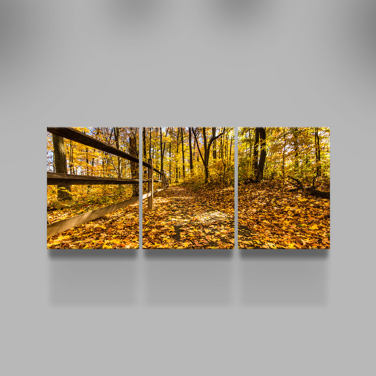 Caesar Creek State Park Fall Foliage Wall Art