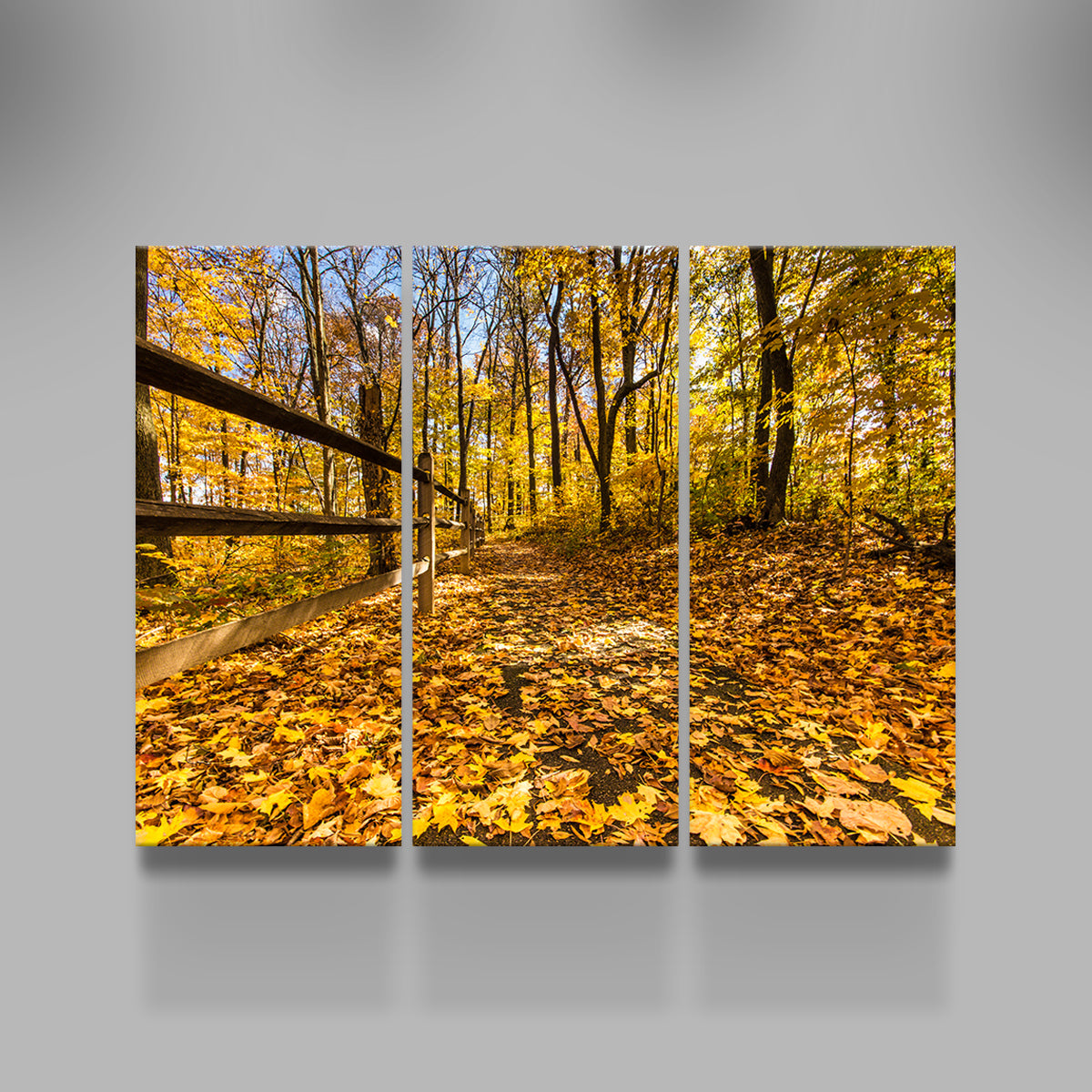 Caesar Creek State Park Fall Foliage Wall Art