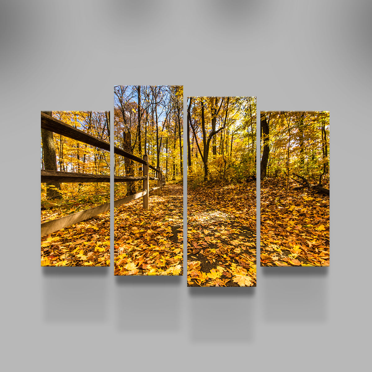 Caesar Creek State Park Fall Foliage Wall Art