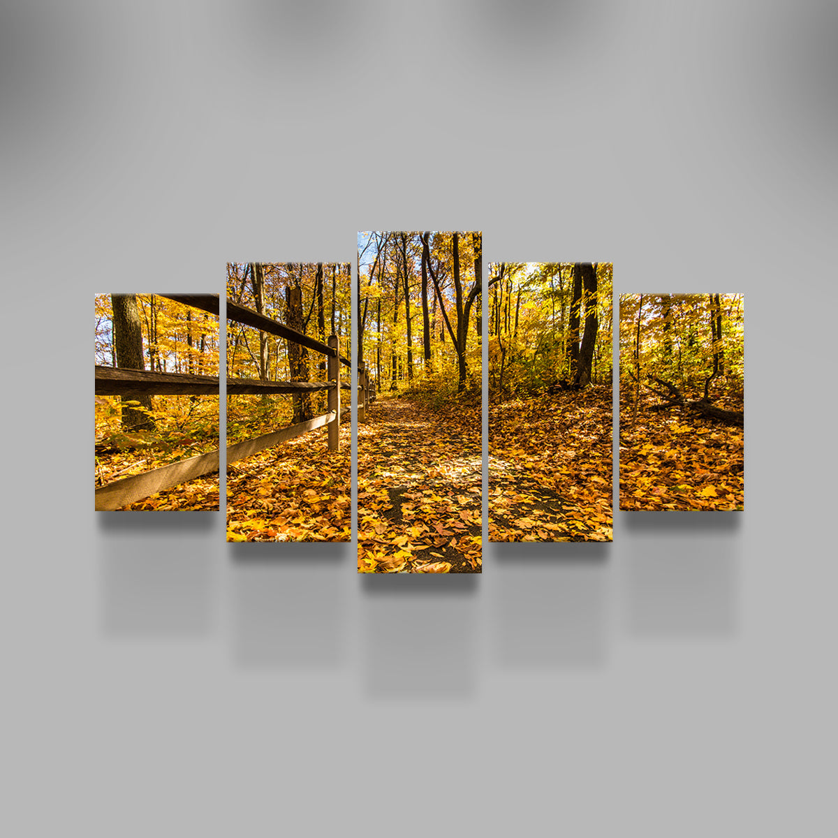 Caesar Creek State Park Fall Foliage Wall Art