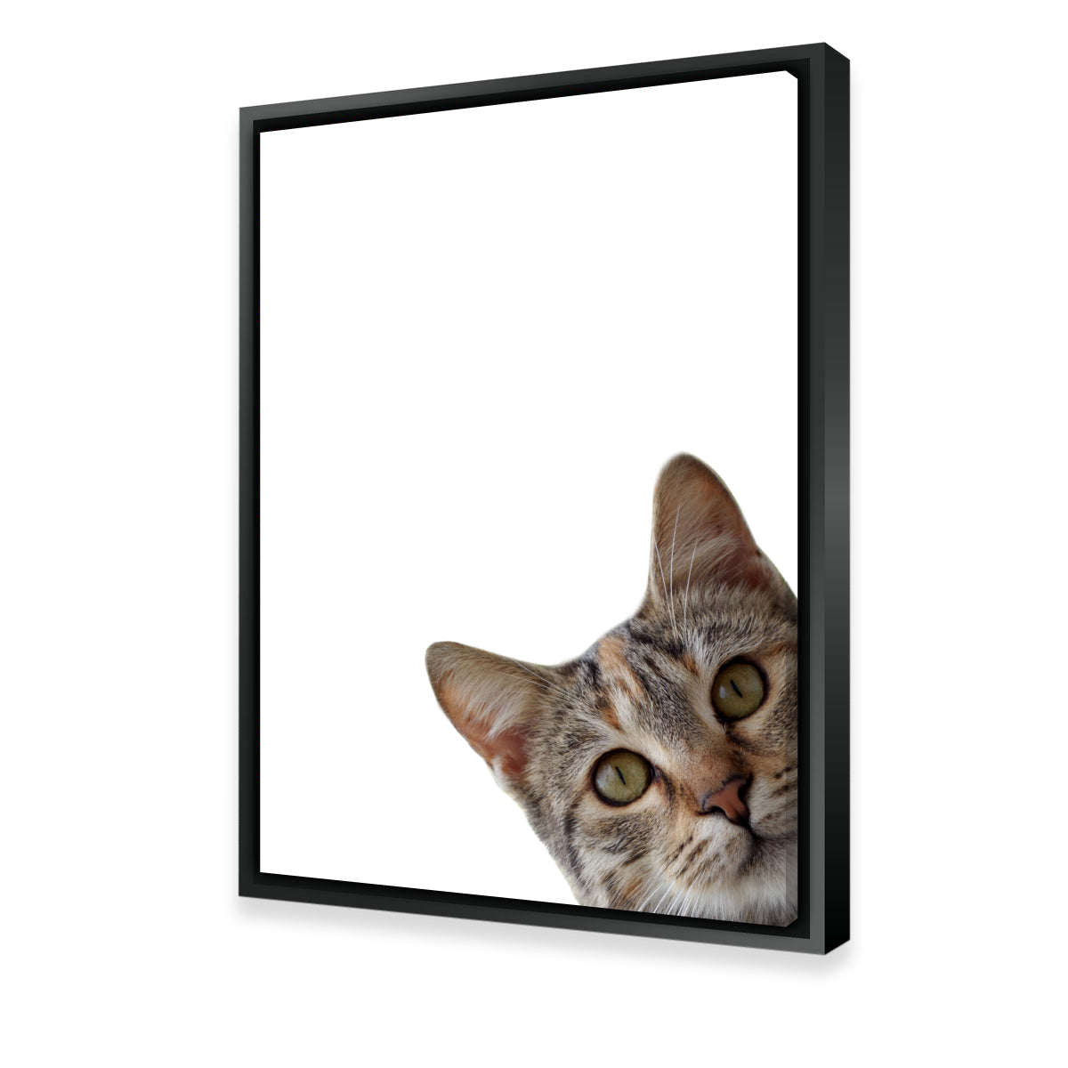 Cat Face Wall Art