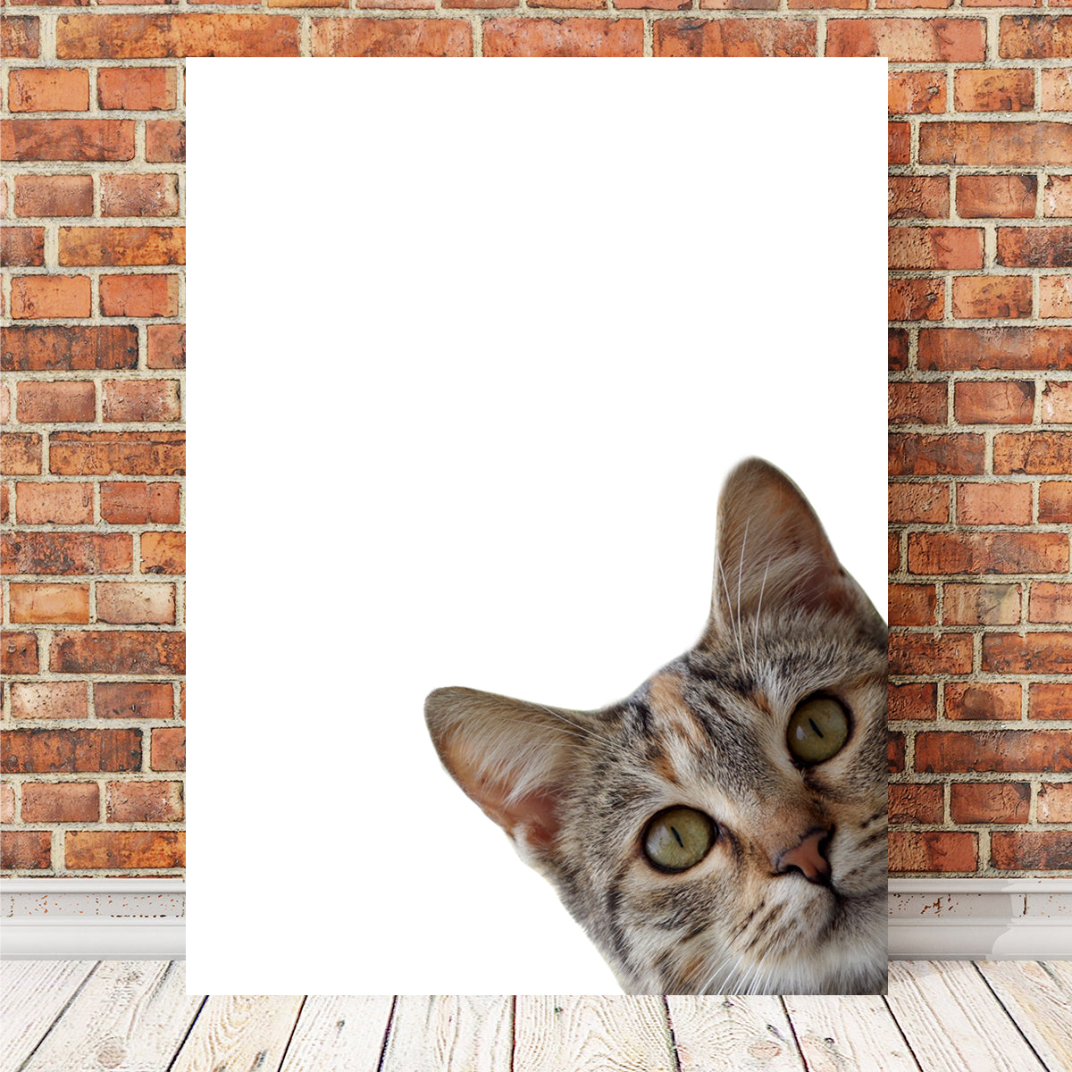 Cat Face Wall Art