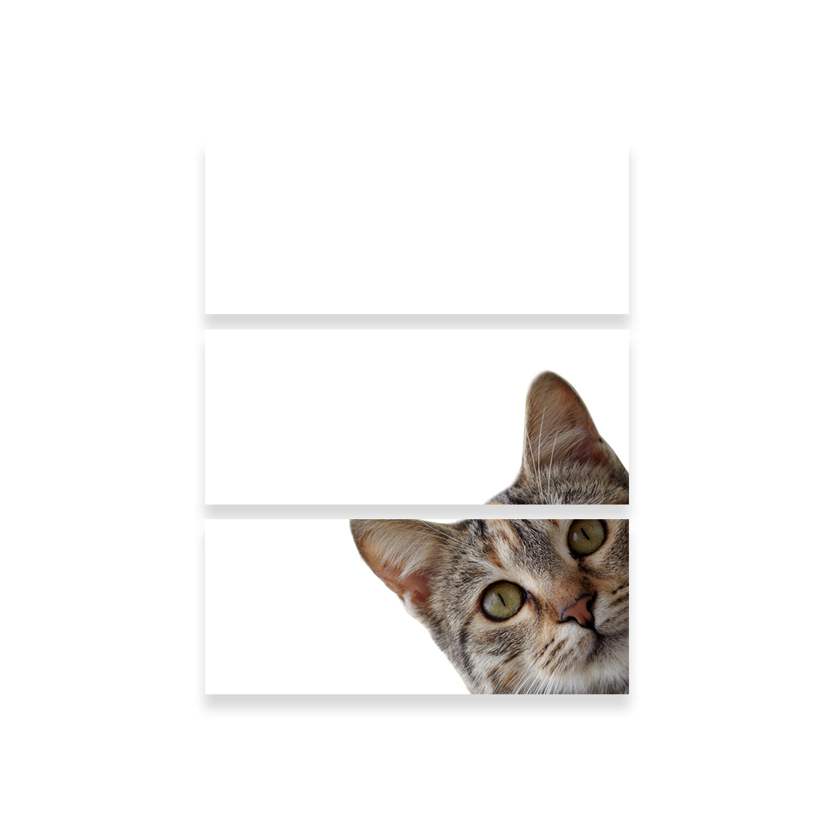 Cat Face Wall Art