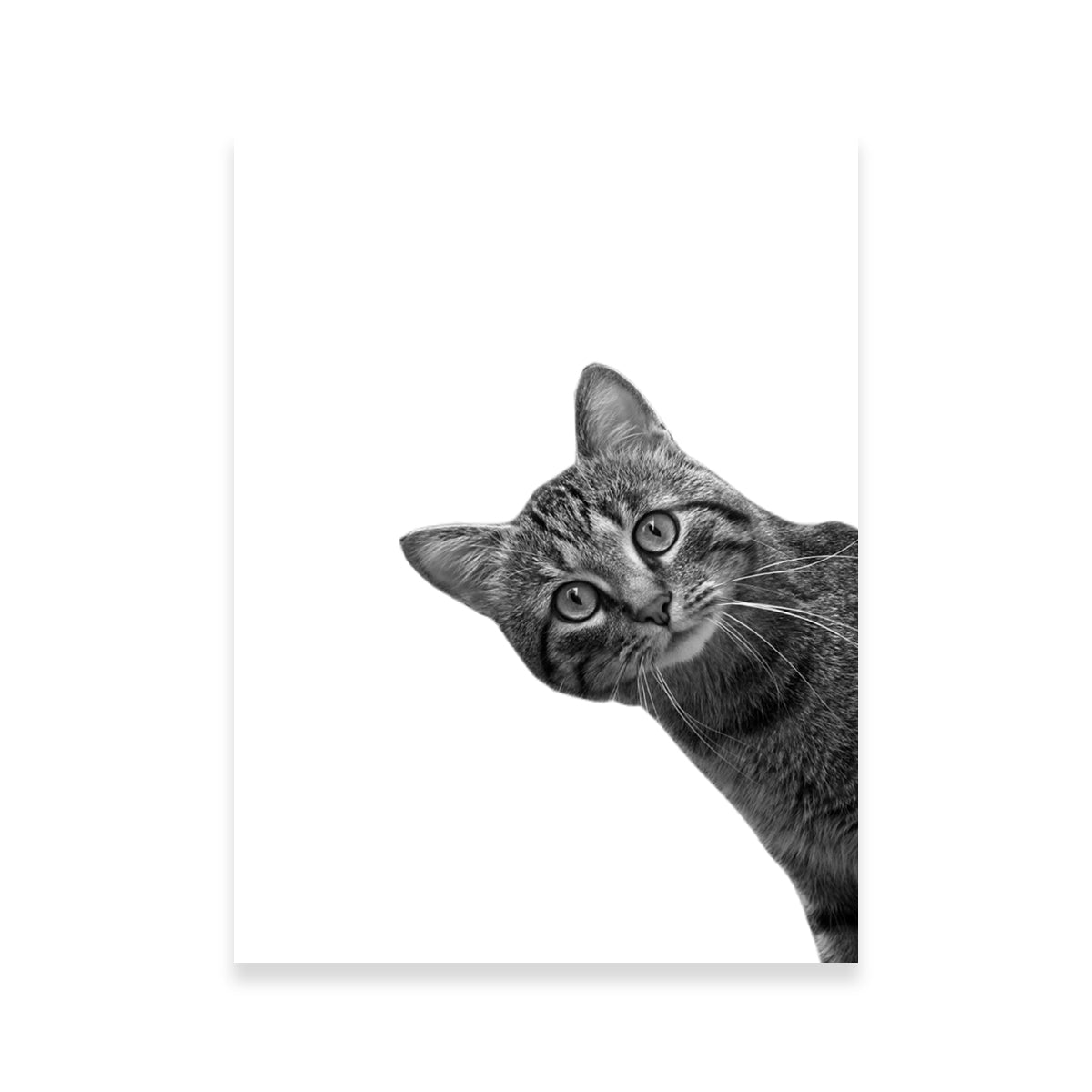 Cat Wall Art