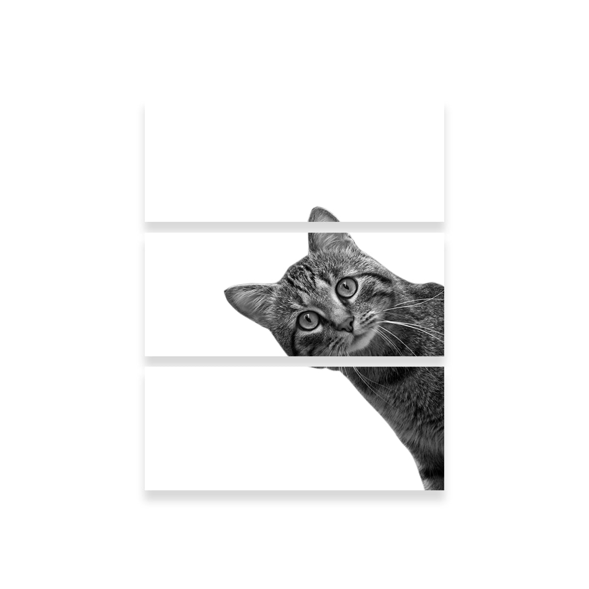 Cat Wall Art