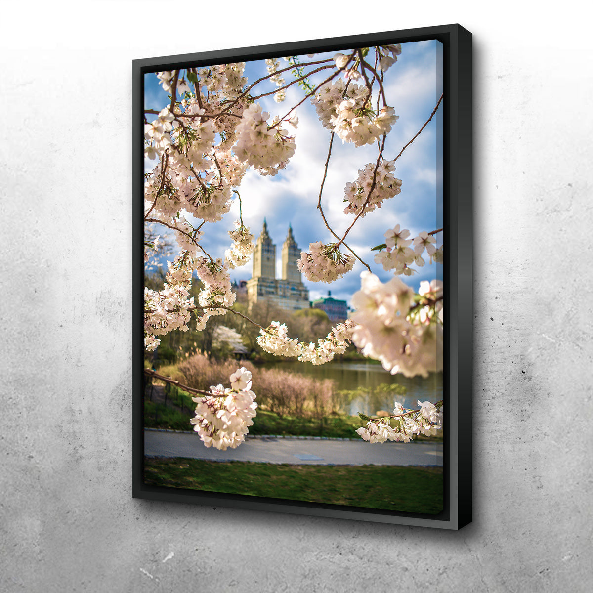 Central Park Cherry Blossoms Wall Art