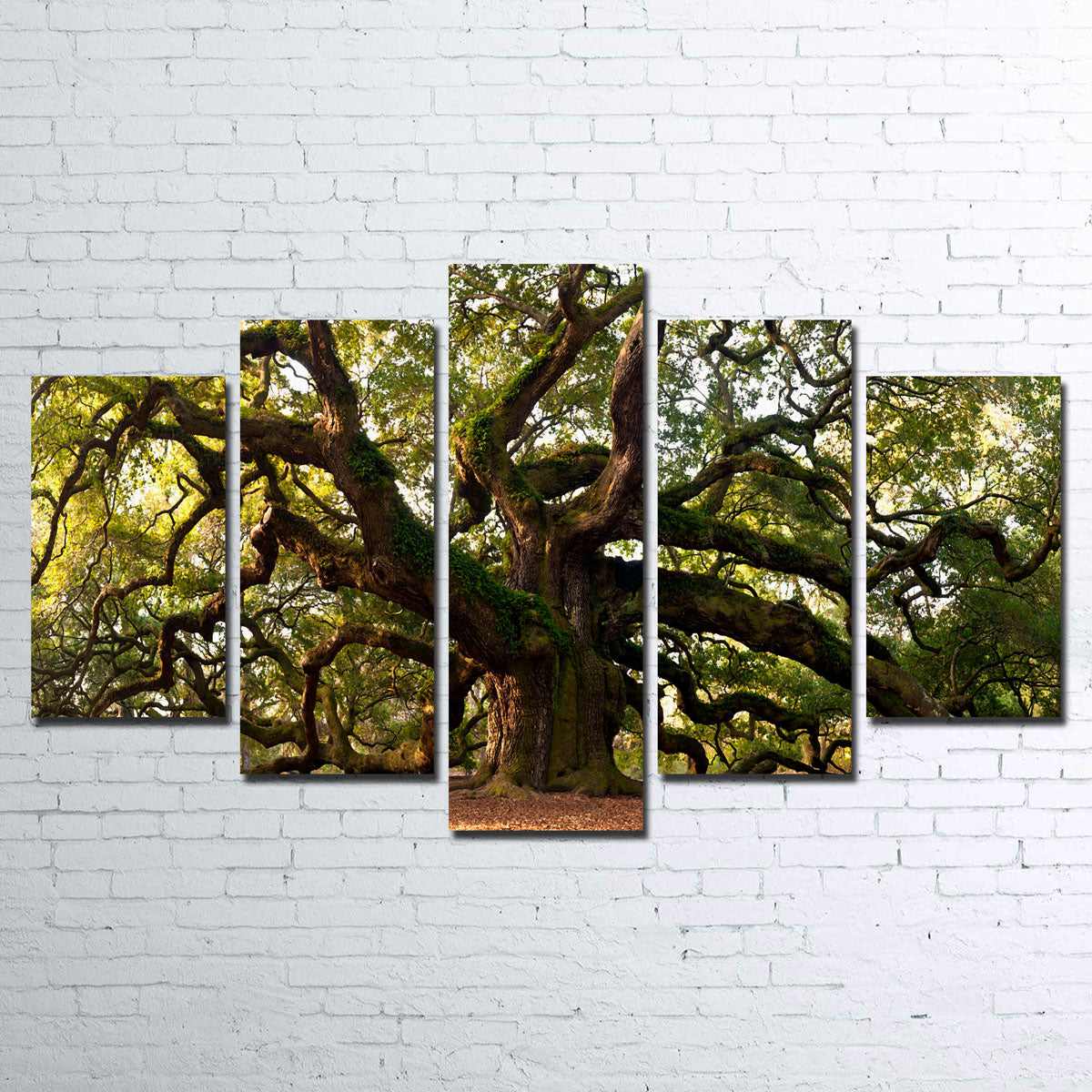 Charleston Angel Oak Canvas Set