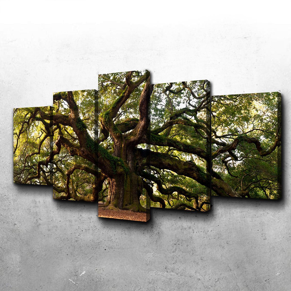 Charleston Angel Oak Canvas Set