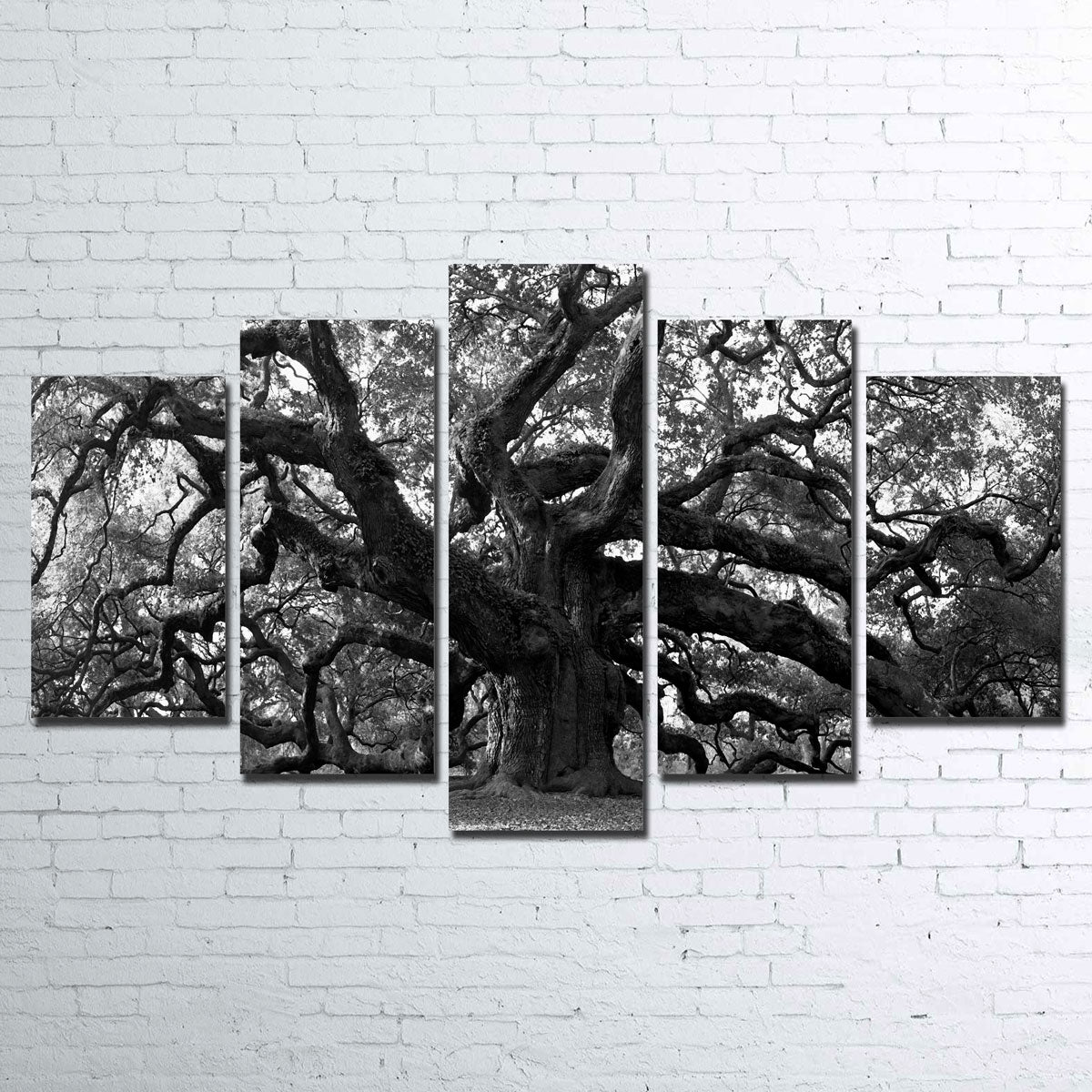 Charleston Angel Oak Canvas Set V2