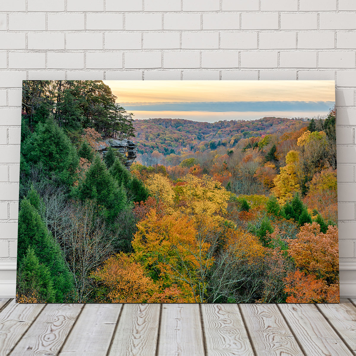 Conkle's Hollow State Nature Preserve Wall Art
