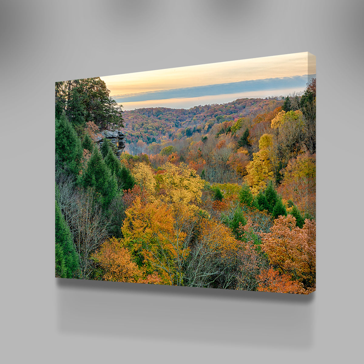 Conkle's Hollow State Nature Preserve Wall Art