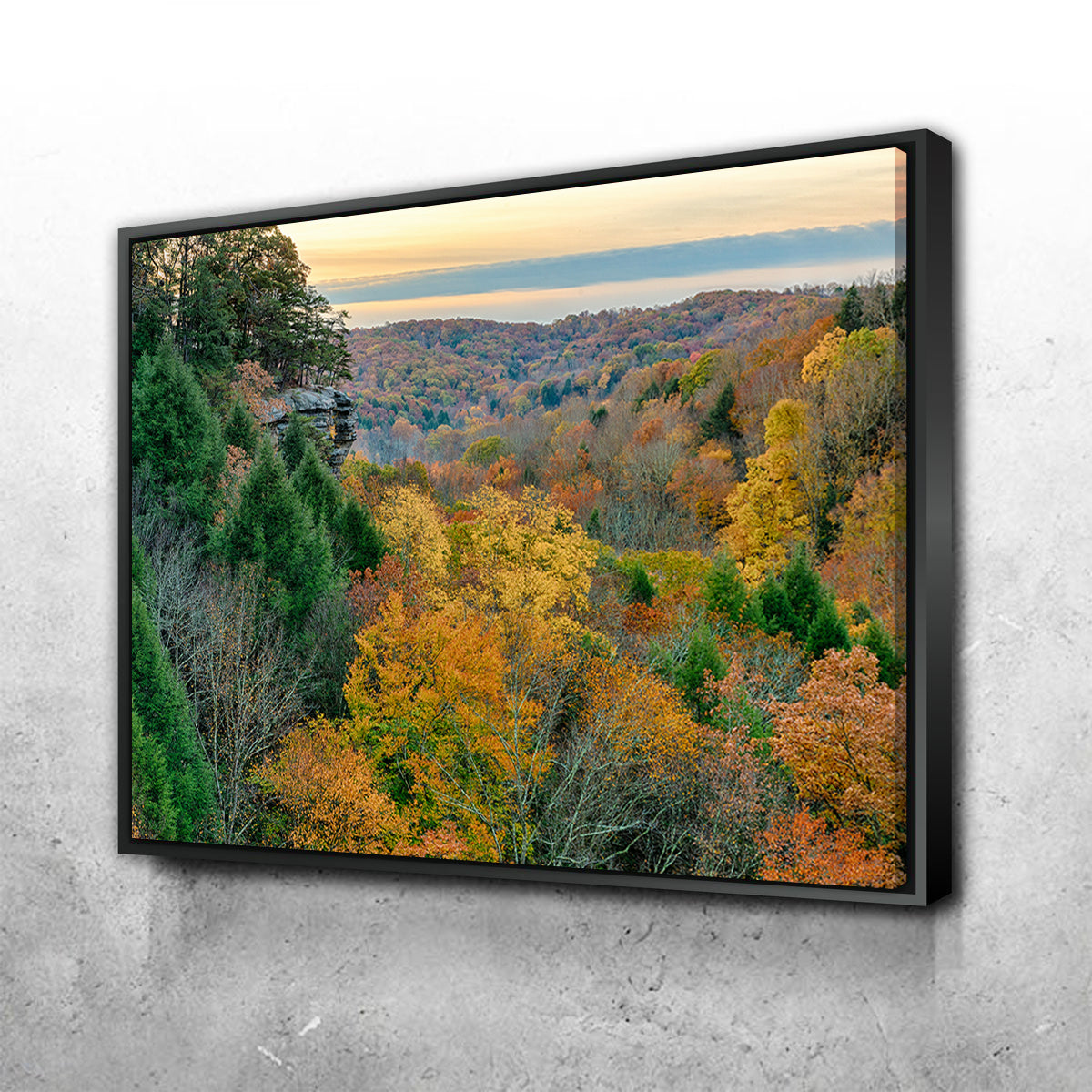 Conkle's Hollow State Nature Preserve Wall Art