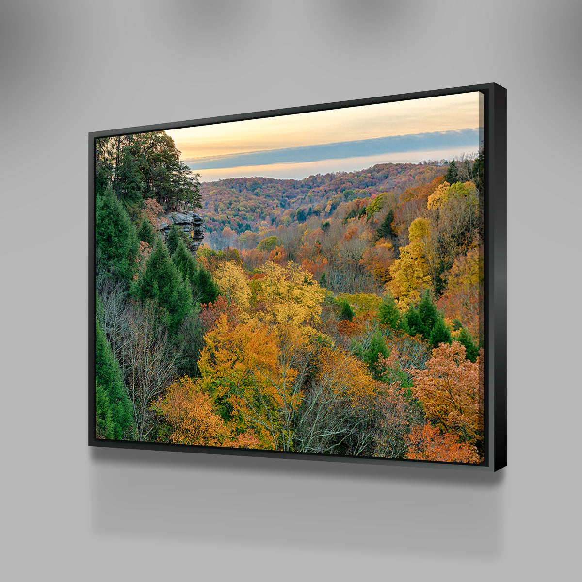Conkle's Hollow State Nature Preserve Wall Art