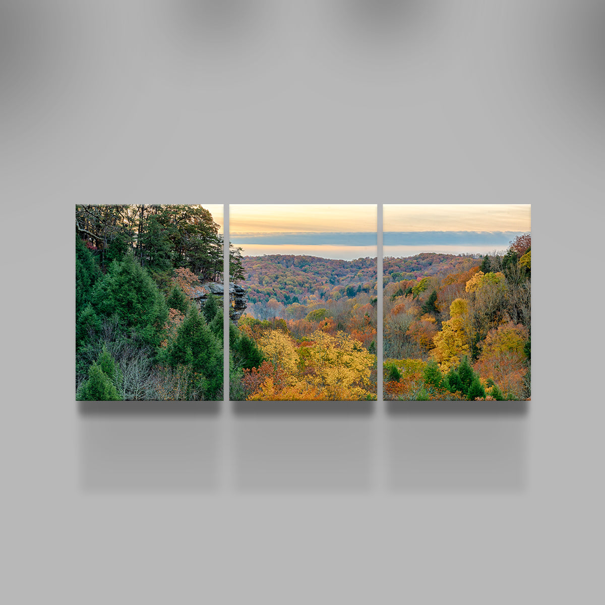 Conkle's Hollow State Nature Preserve Wall Art