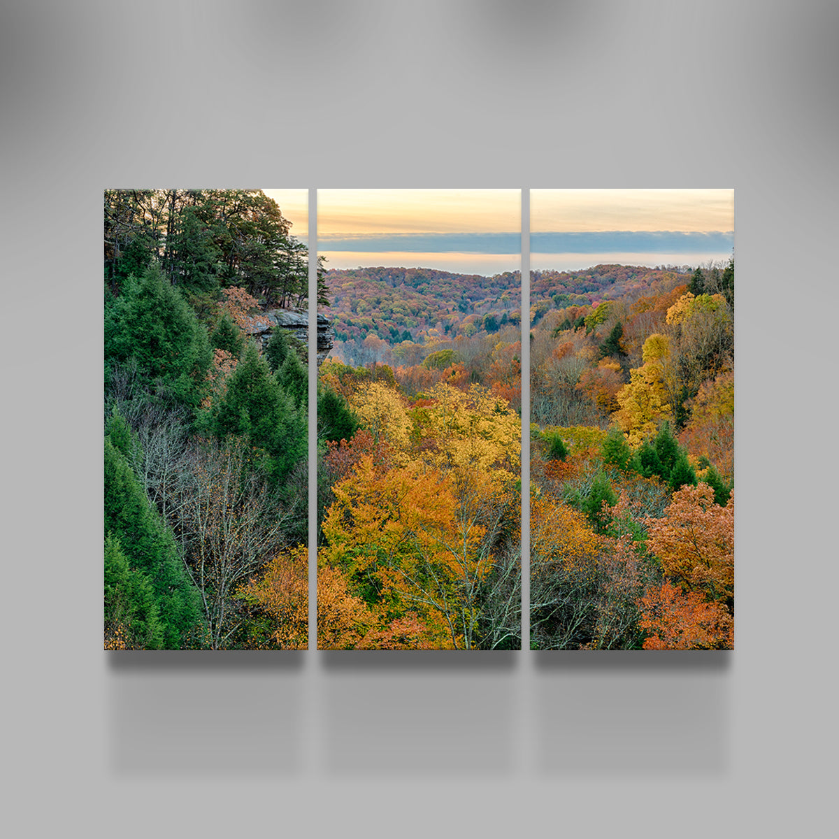 Conkle's Hollow State Nature Preserve Wall Art