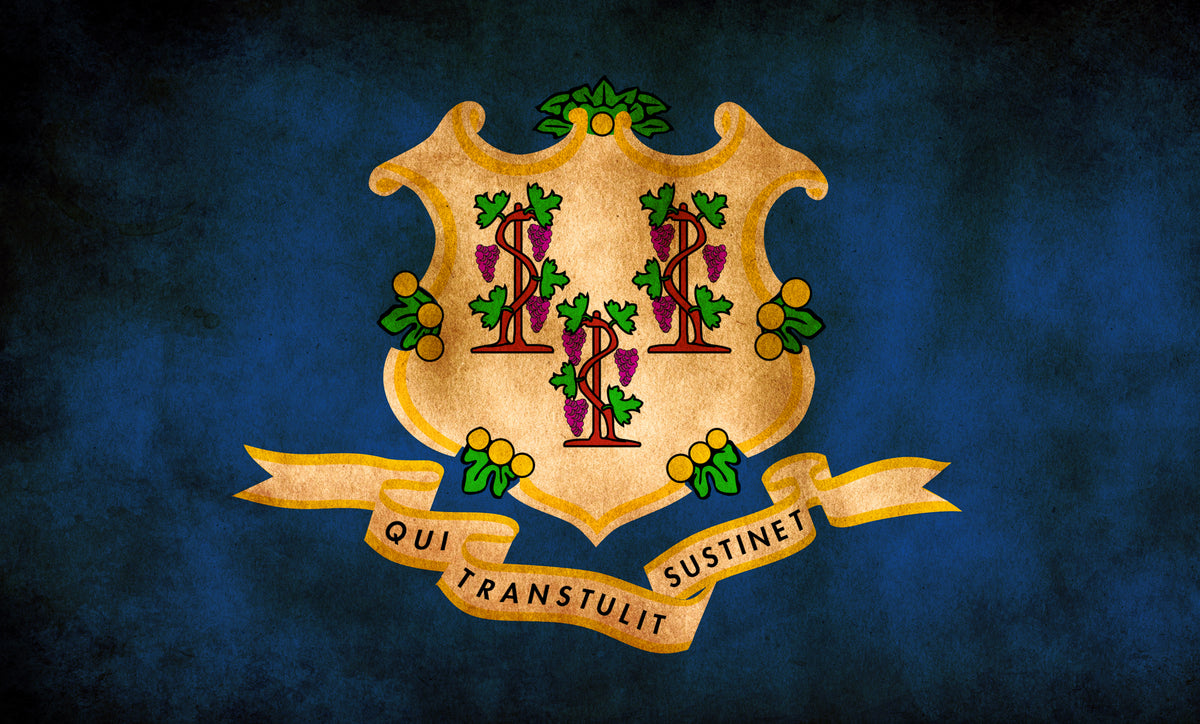 Connecticut State Flag Wall Art
