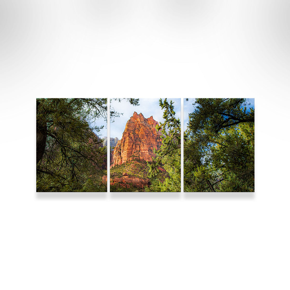 Court Of The Patriarchs Wall Art