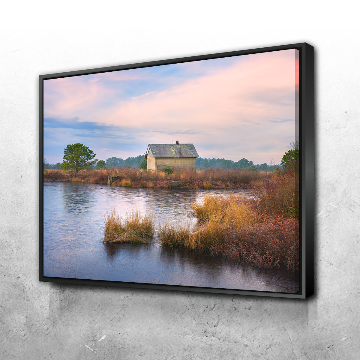 Cranberry Bog Winter Transition Wall Art
