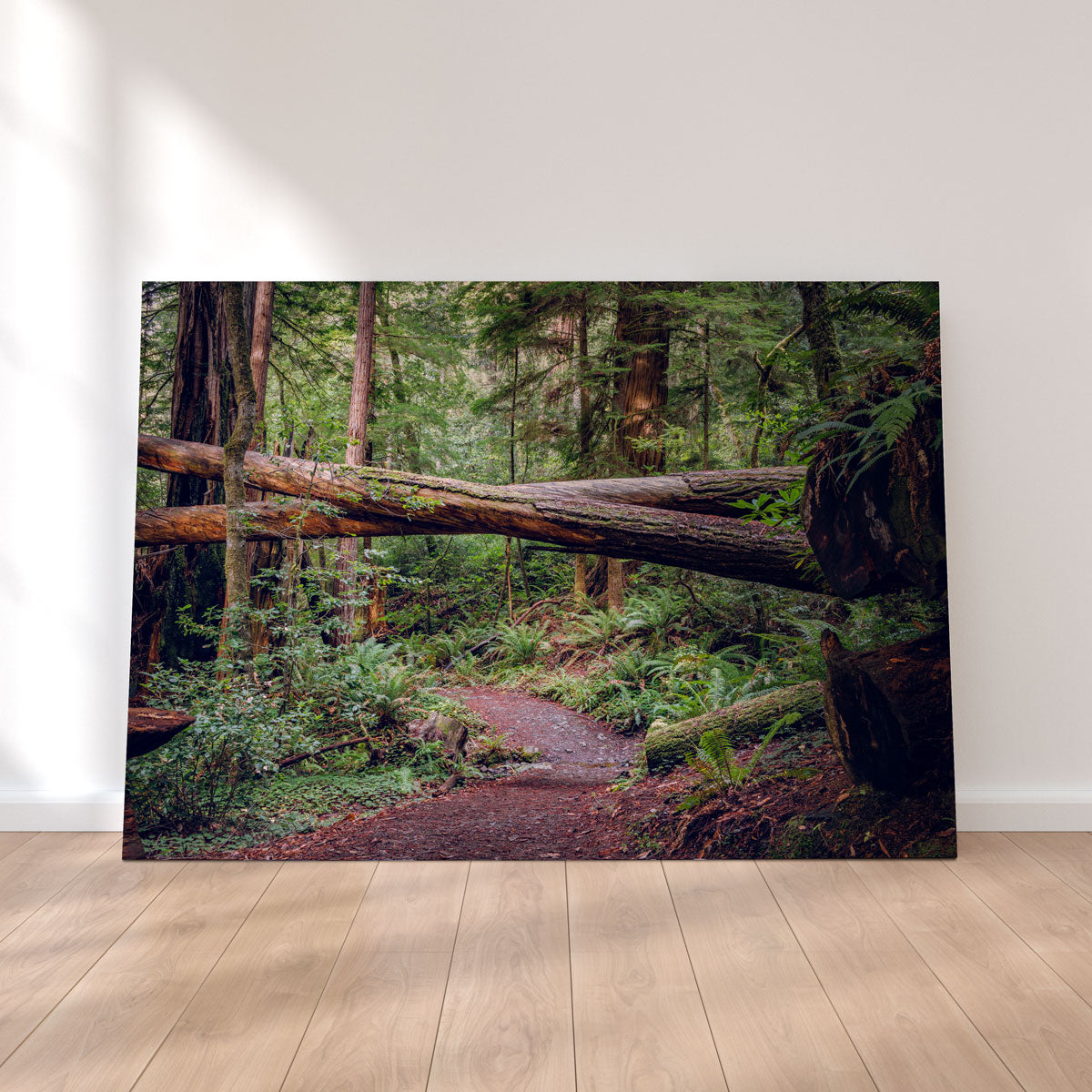 Crossed Trees Wall Art