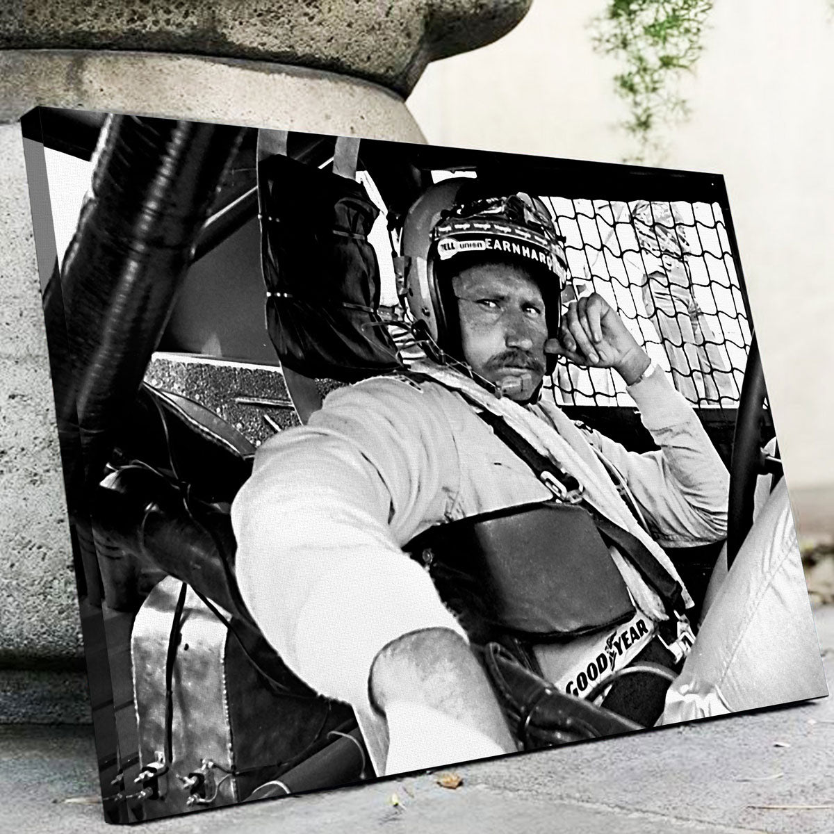 Dale Earnhardt Wall Art