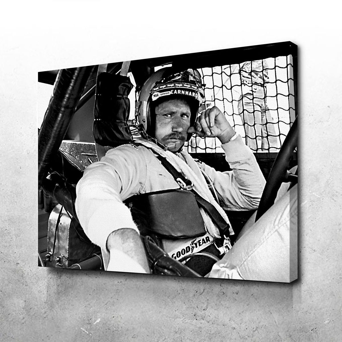 Dale Earnhardt Wall Art