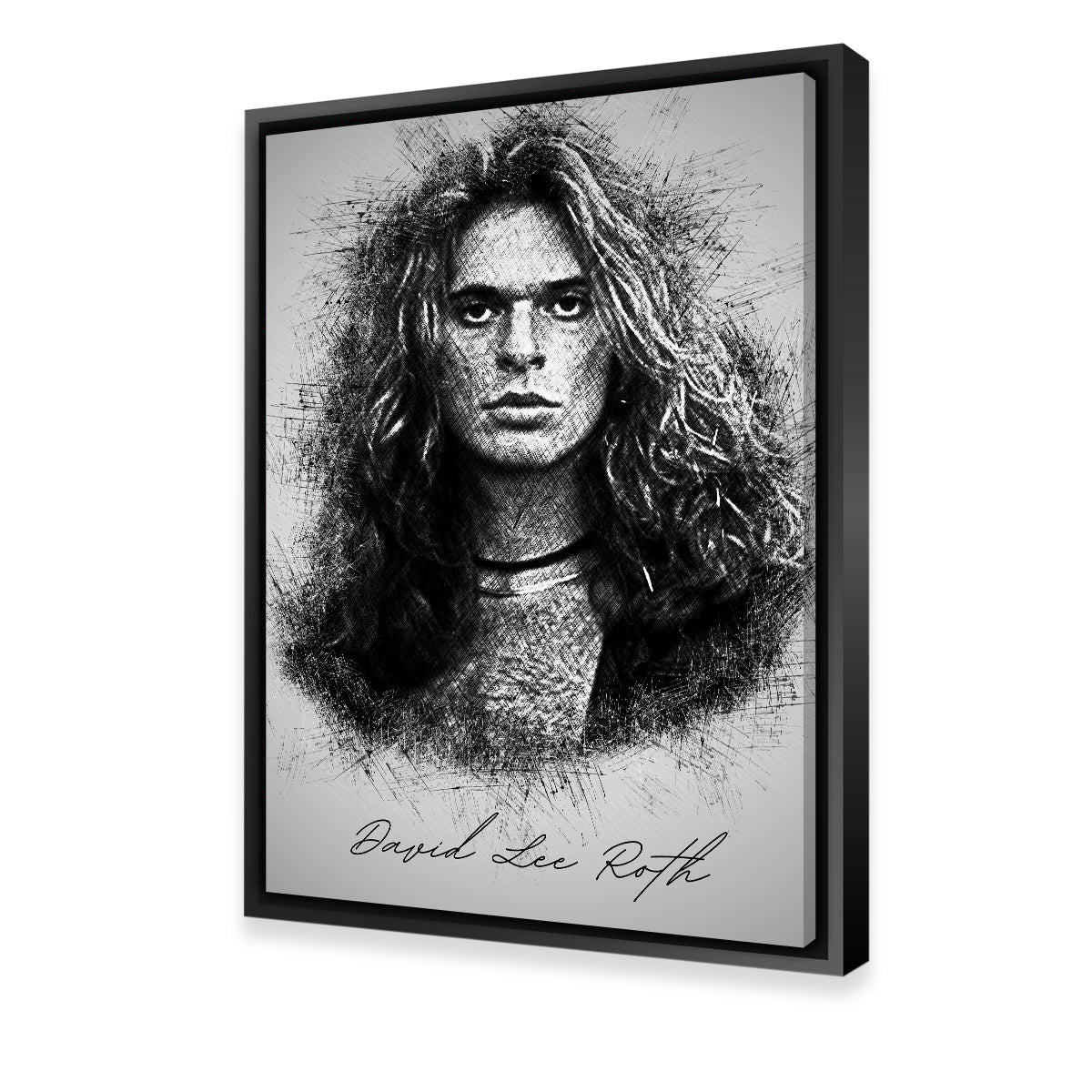 David Lee Roth Wall Art