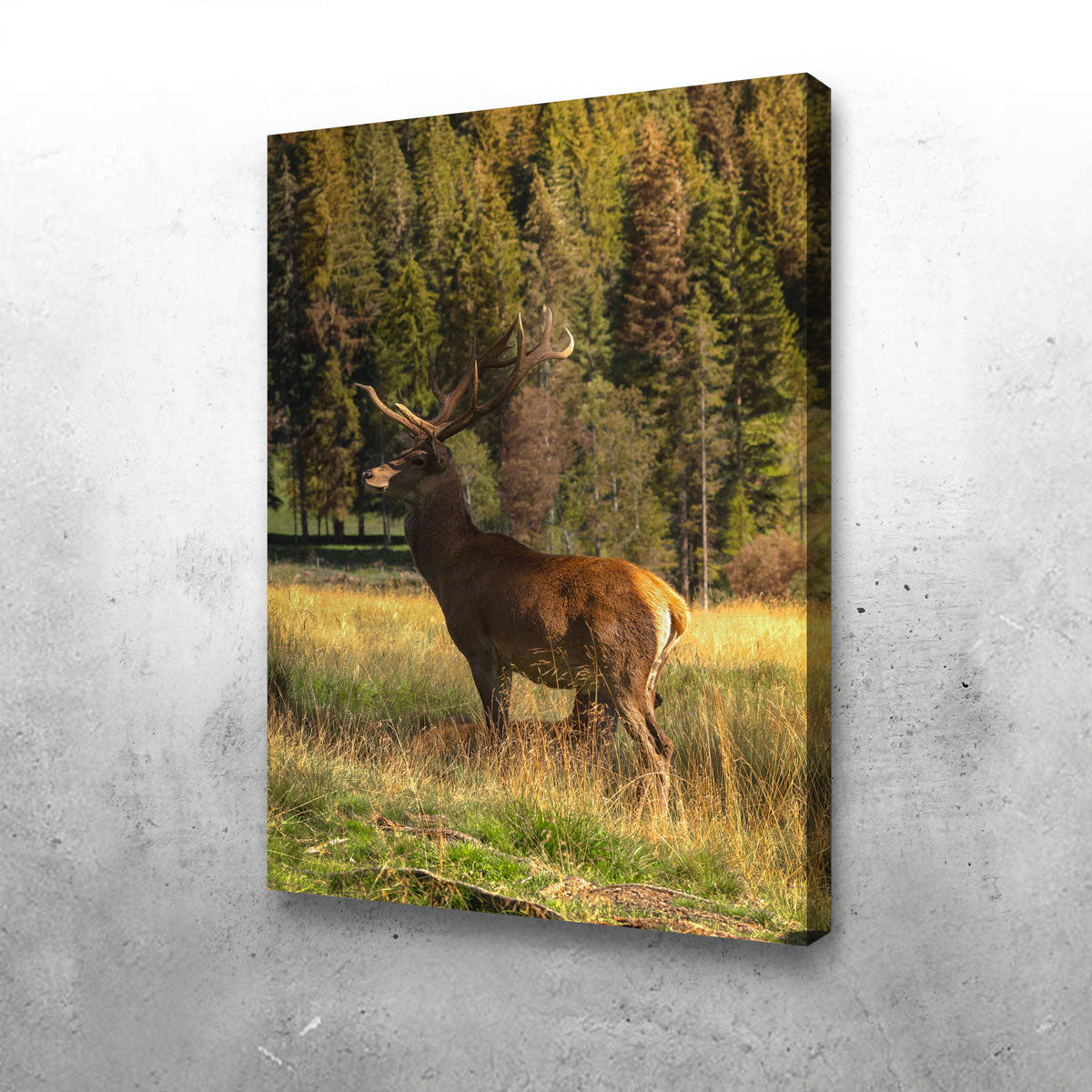 Deer Wall Art
