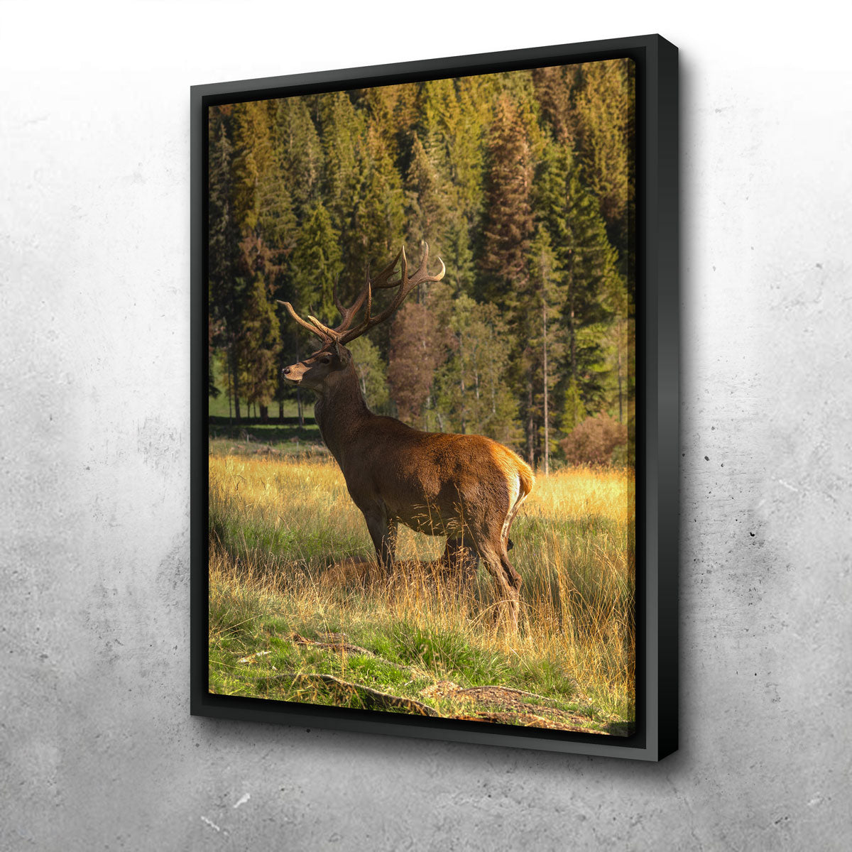 Deer Wall Art