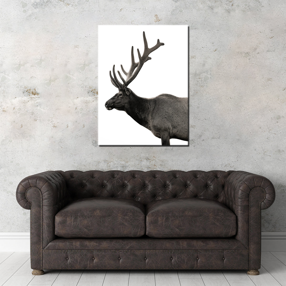 Deer Grayscale
