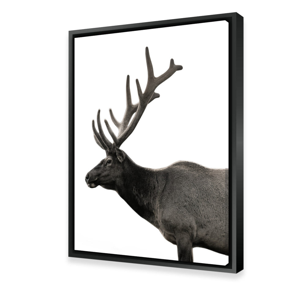 Deer Grayscale Wall Art