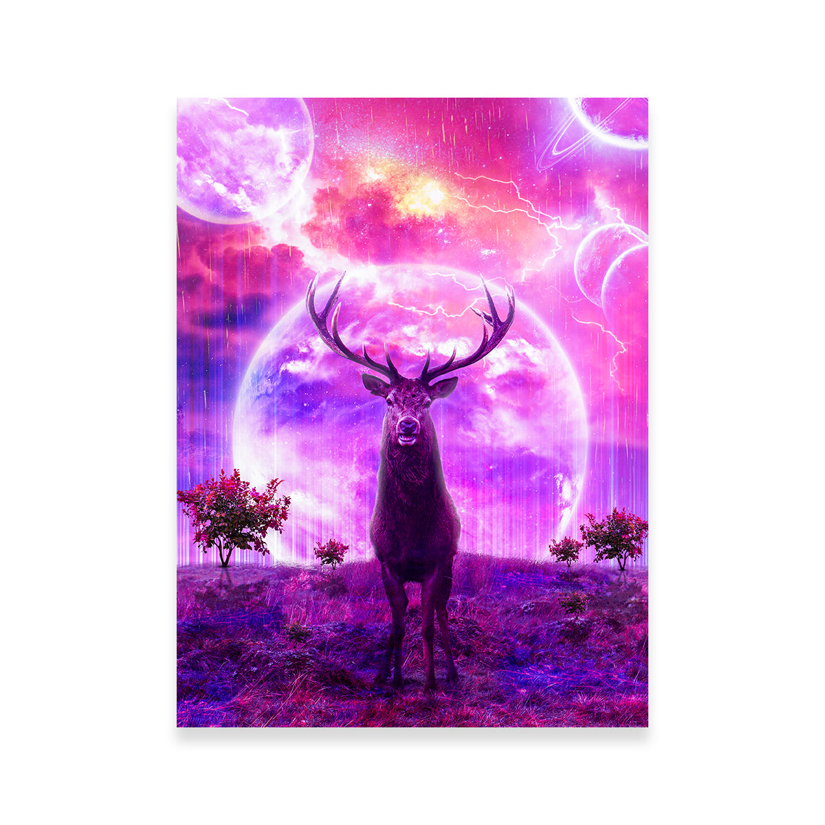 Deer Space Wall Art