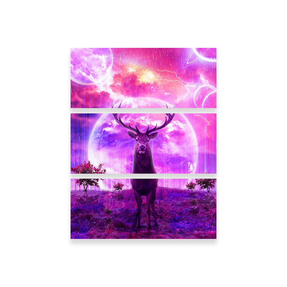 Deer Space Wall Art