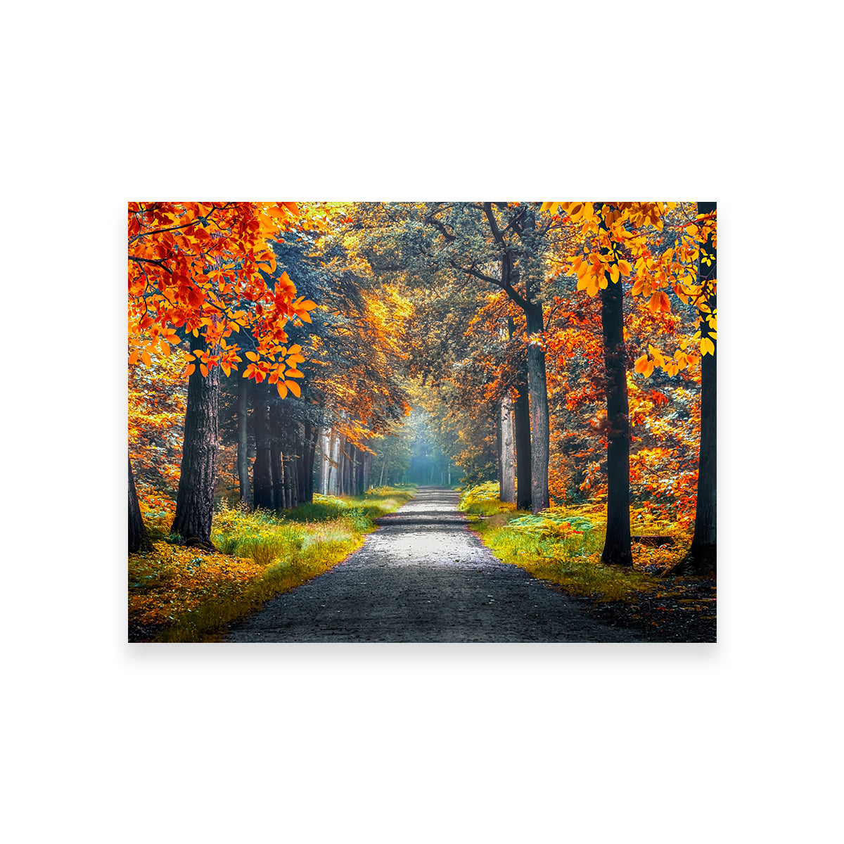 Dutch Forest Wall Art