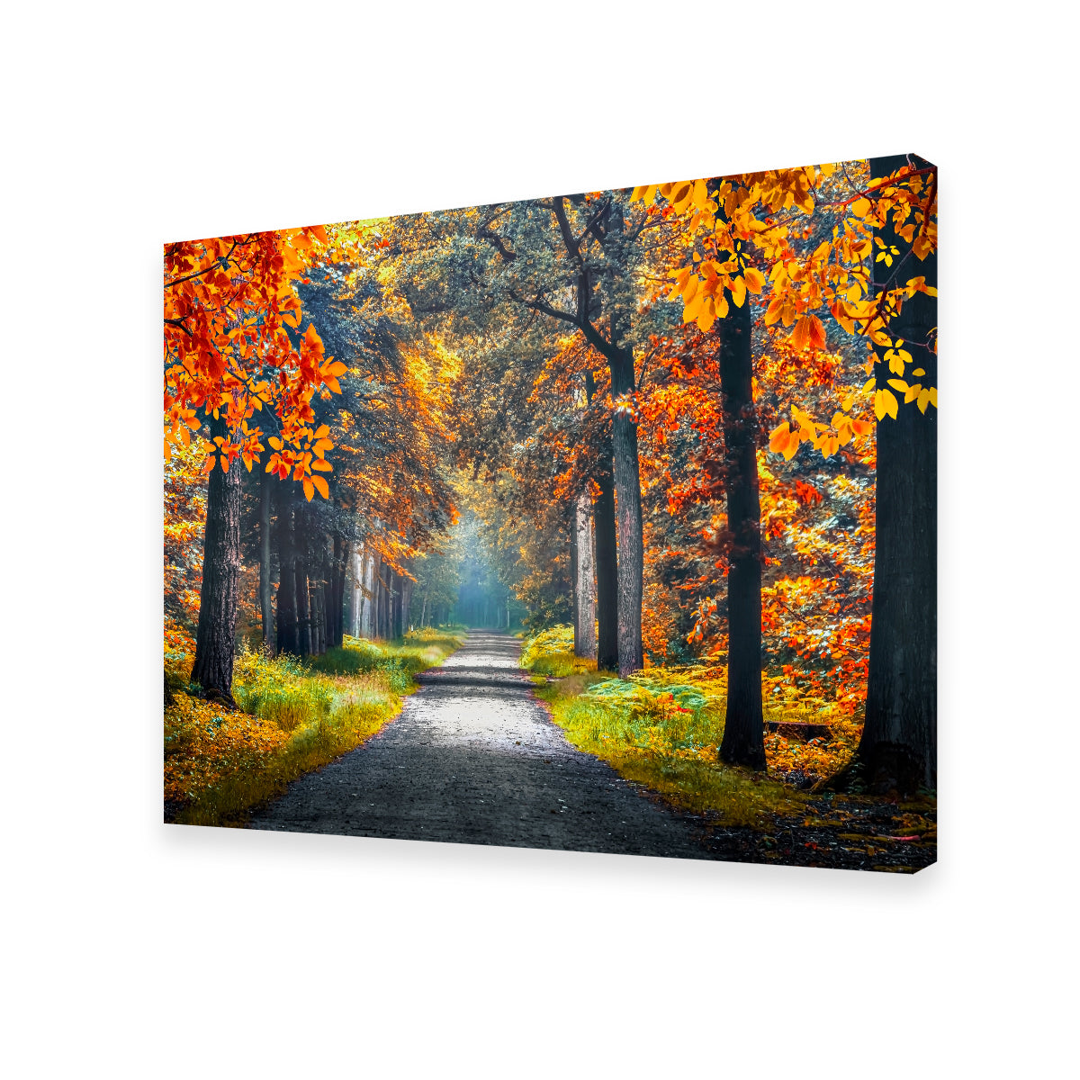 Dutch Forest Wall Art