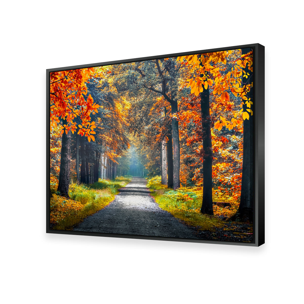 Dutch Forest Wall Art