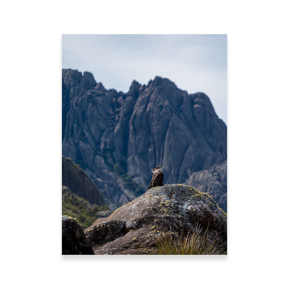 Eagles and Black Needles Peak