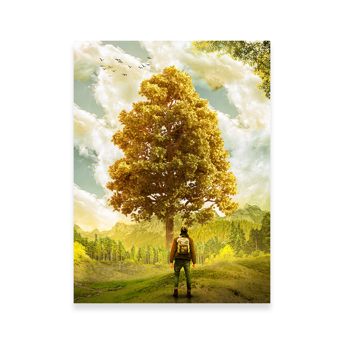 Elder Man Wall Art