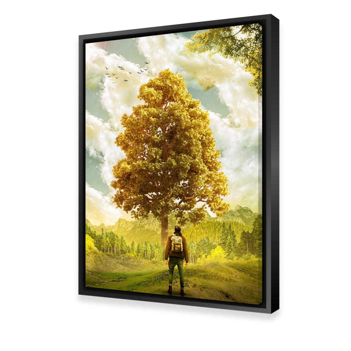Elder Man Wall Art