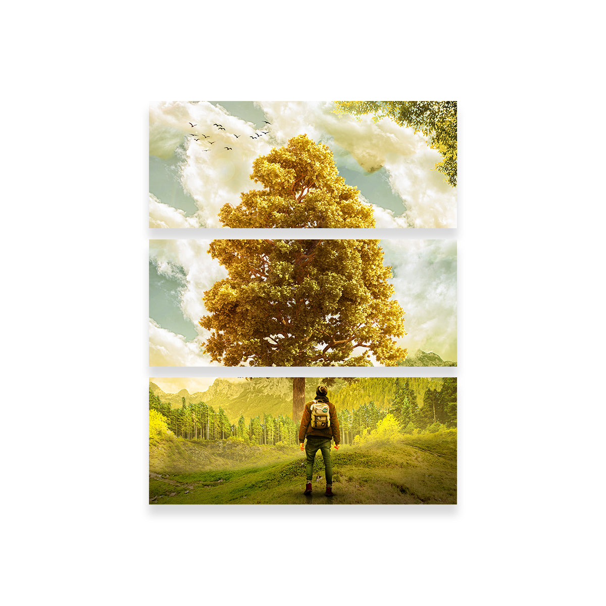 Elder Man Wall Art