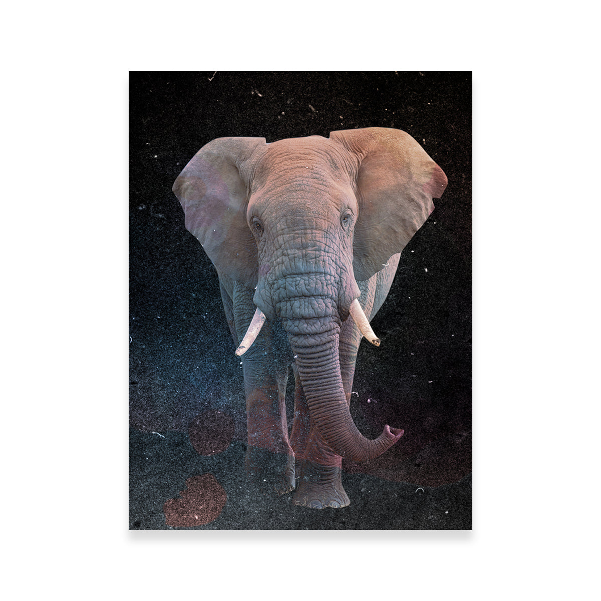 Elephant Art Wall Art