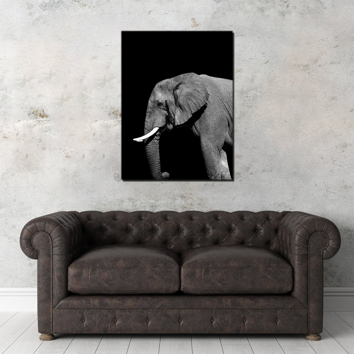 Elephant Wall Art