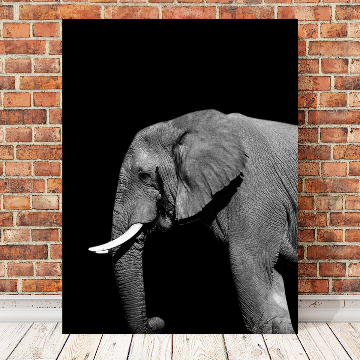 Elephant Wall Art